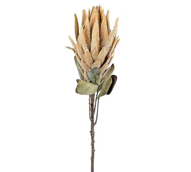 Caramel Orange Large Protea Spray