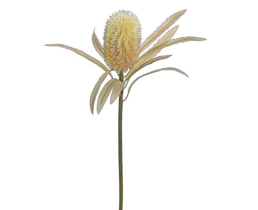 Wheat &amp; Mauve Protea Spray