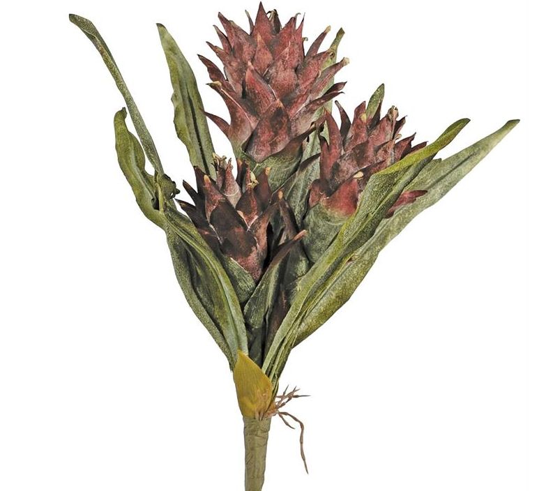 Dried Protea Bundle, Colour: Wine