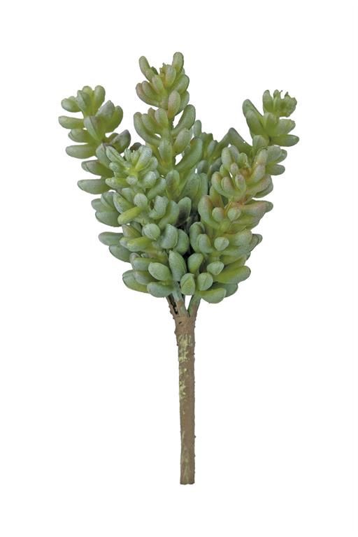 Green Donkey Tail Succulent Pick