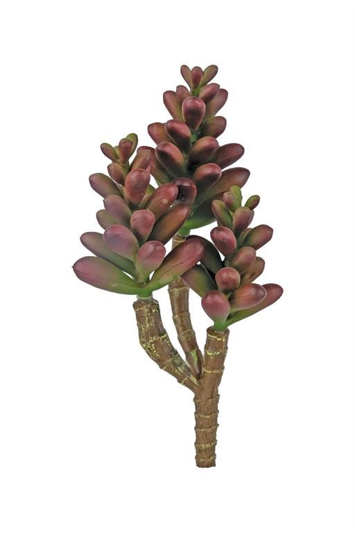 Purple &amp; Green Ice Plant Pick Succulent