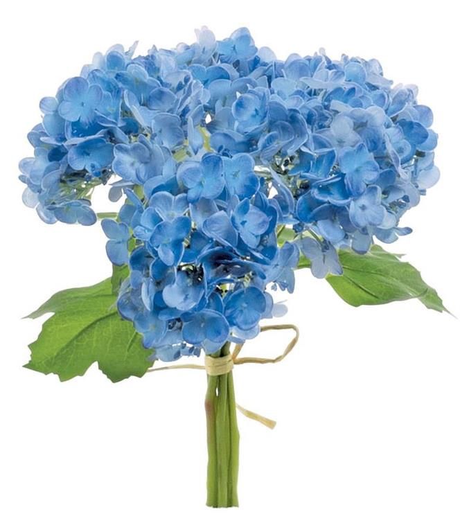 Hydrangea Bundles
