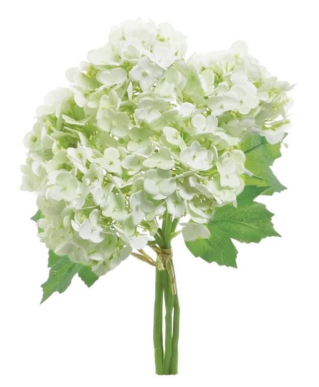 Hydrangea Bundles