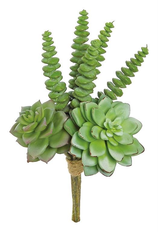 Sage Green Mixed Succulent Bundle