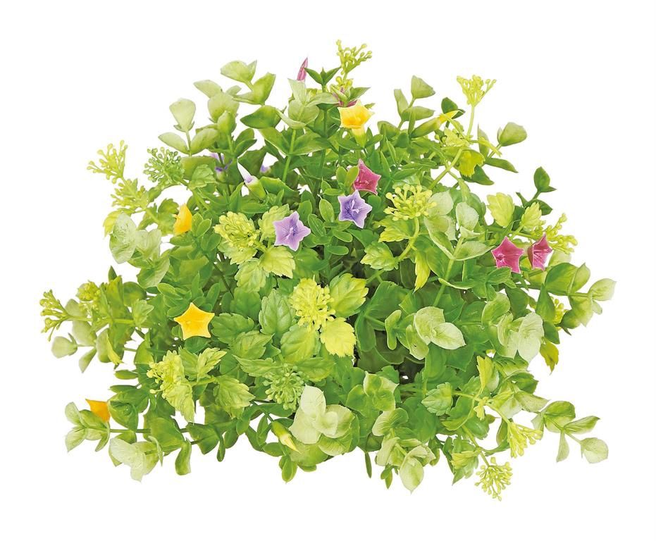 Mixed Eucalyptus &amp; Multi Color Boxwood Flower Dome