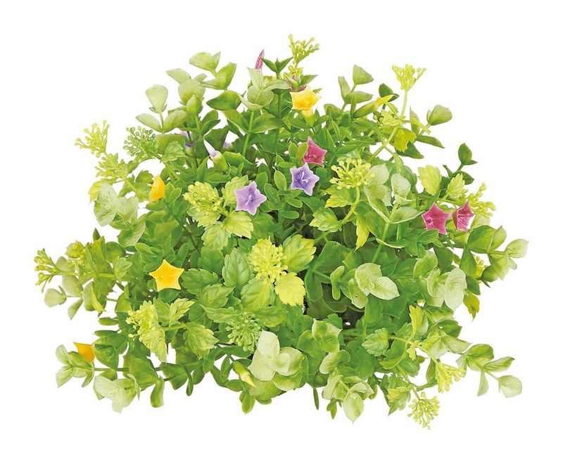 Mixed Eucalyptus &amp; Multi Color Boxwood Flower Dome