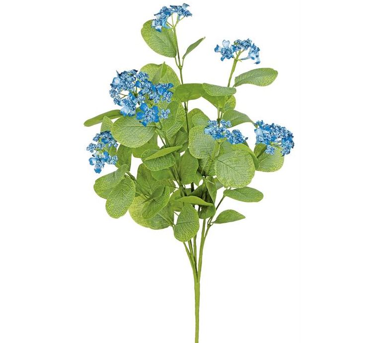 Blue Wild Viburnum Bush