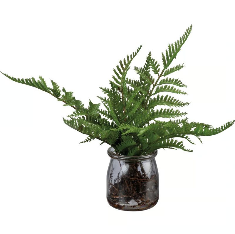 Potted Plant In Jar