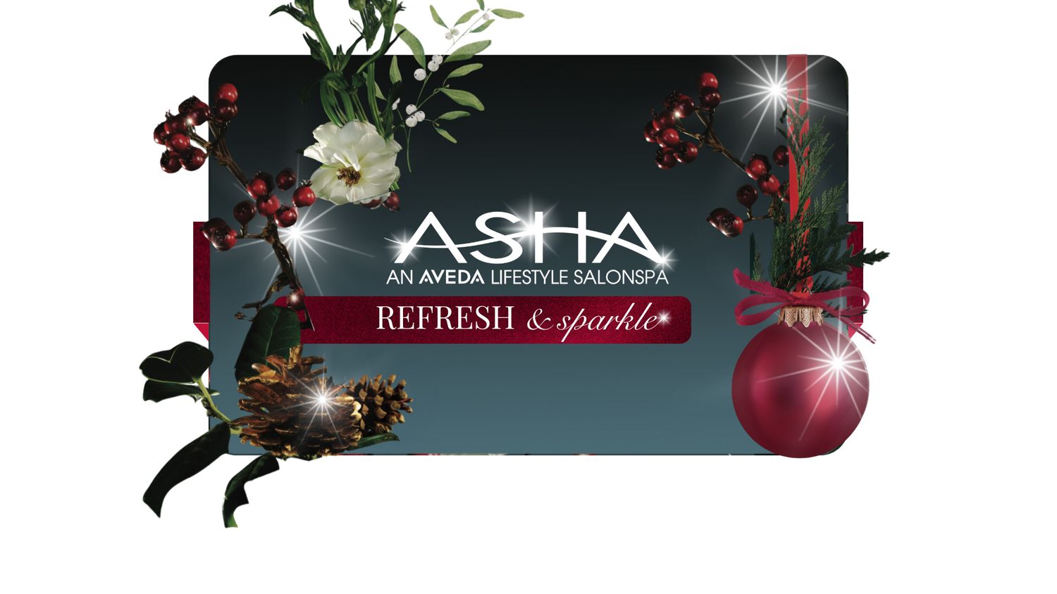 Asha SalonSpa Gift Card $200