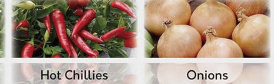 Organic 21 Seed Vegetable - Herb - Seeds Grow Kit