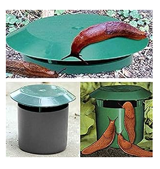Beer Slug &amp; Snail Traps Simple. Safe Around Children And Pets