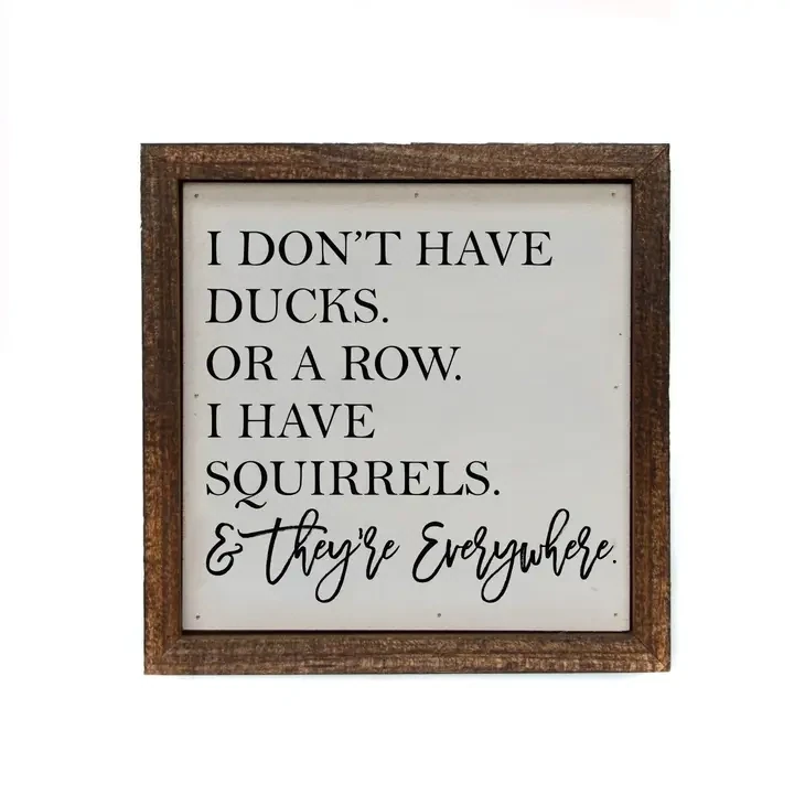 6x6 I Don&#39;t Have Ducks. Or A Row. I Have Squirrels Sign