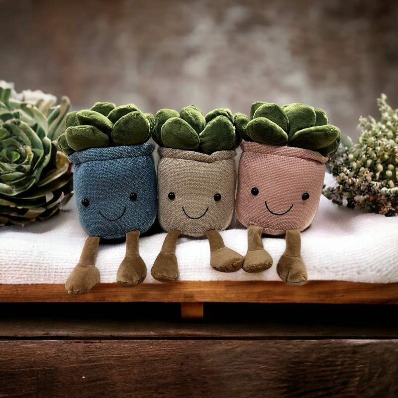 Succulent Plush