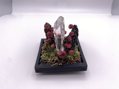 Small Crystal Terrarium 1