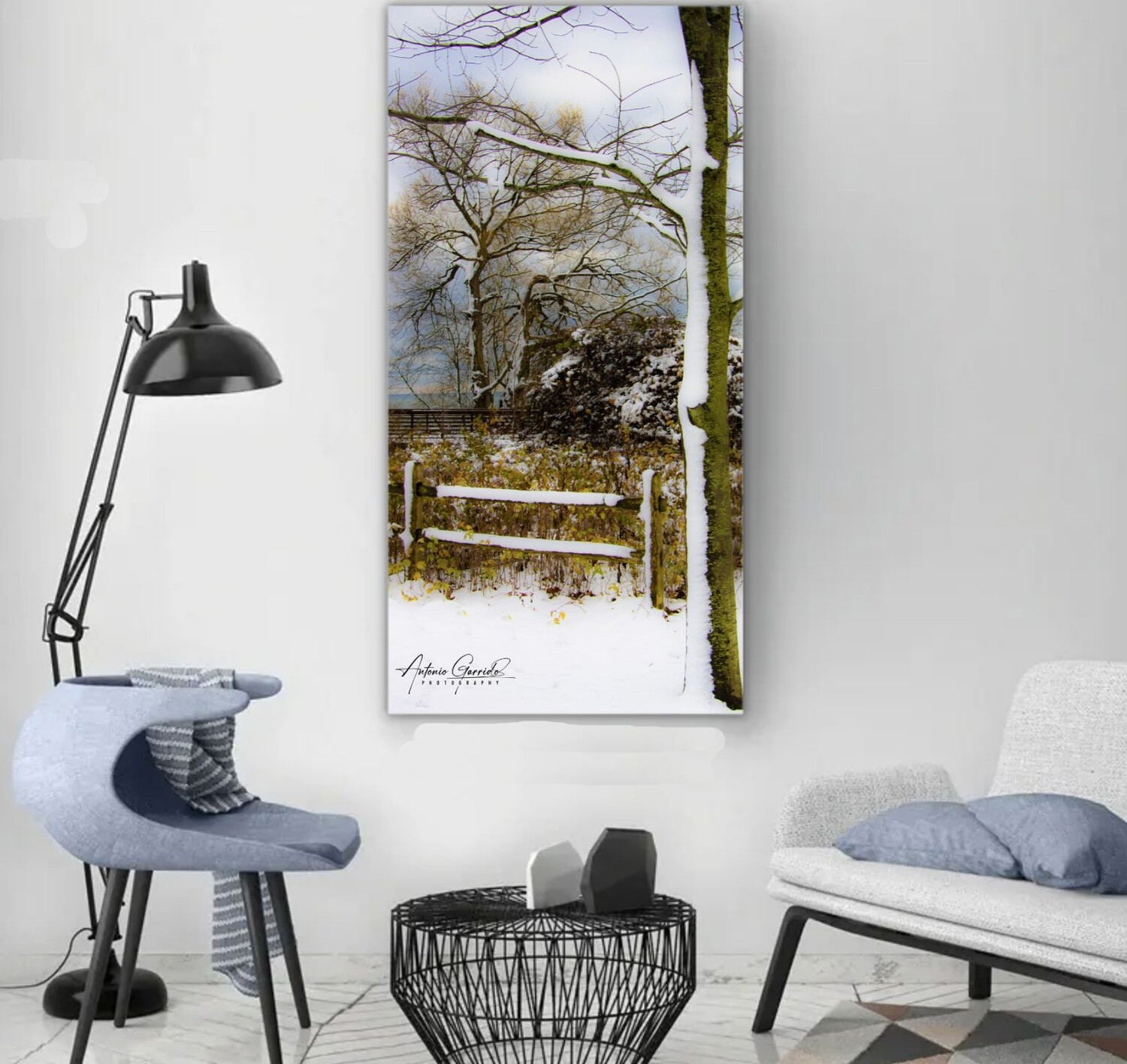 Winter by the lake