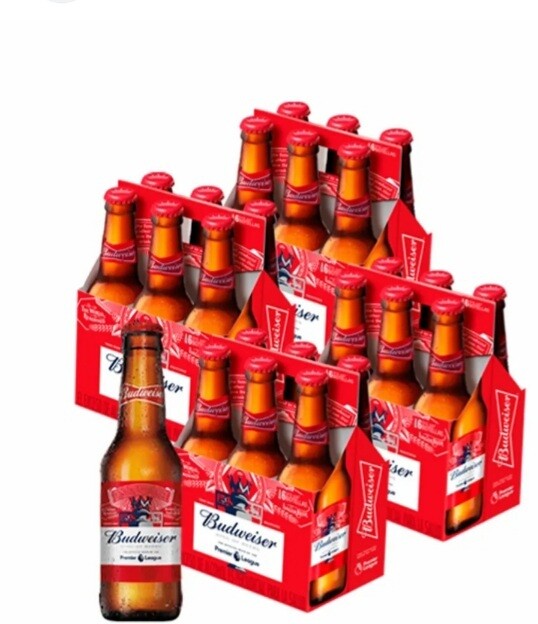 Budwaiser botella paca