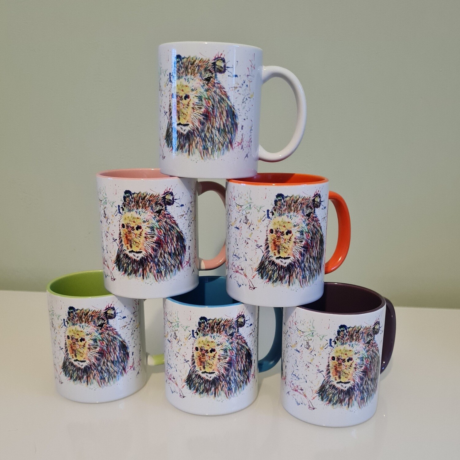 Capybara Colourful Mug