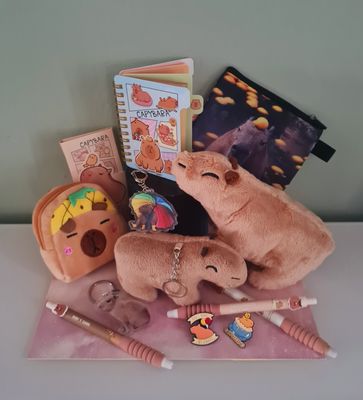 . . . Capybara . . . . . . Merch! . . . . . from . .