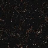 Speckled by Ruby Star Society | Black | RS5027-61