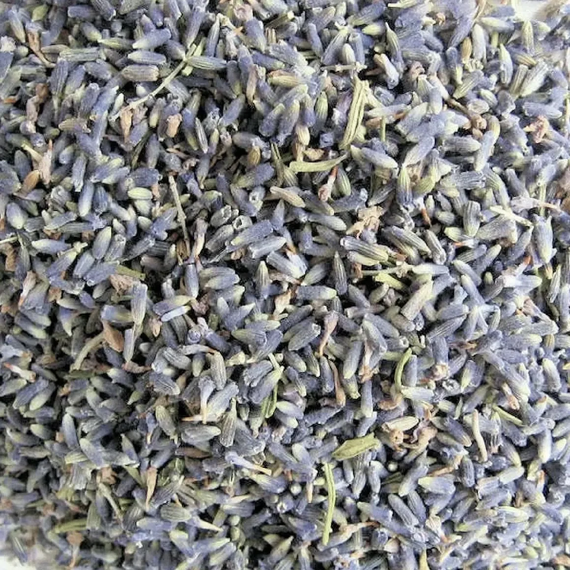 Corinne Lapierre | Französischer getrockneter Lavendel | 100g