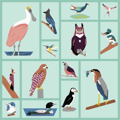 Quilt Kit | The Birdwatchers Project Quilt Kit | The Birdwatchers Project