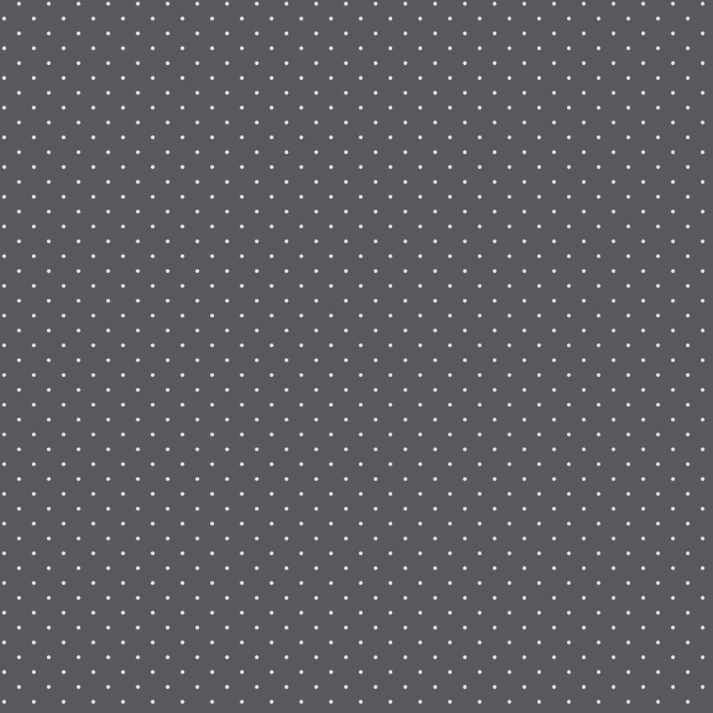 Tula Pink  Graywork | True Colors Tiny Dots | Carbon