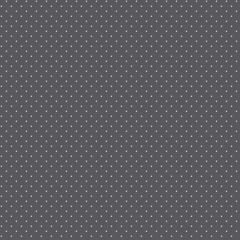 Tula Pink  Graywork | True Colors Tiny Dots | Carbon