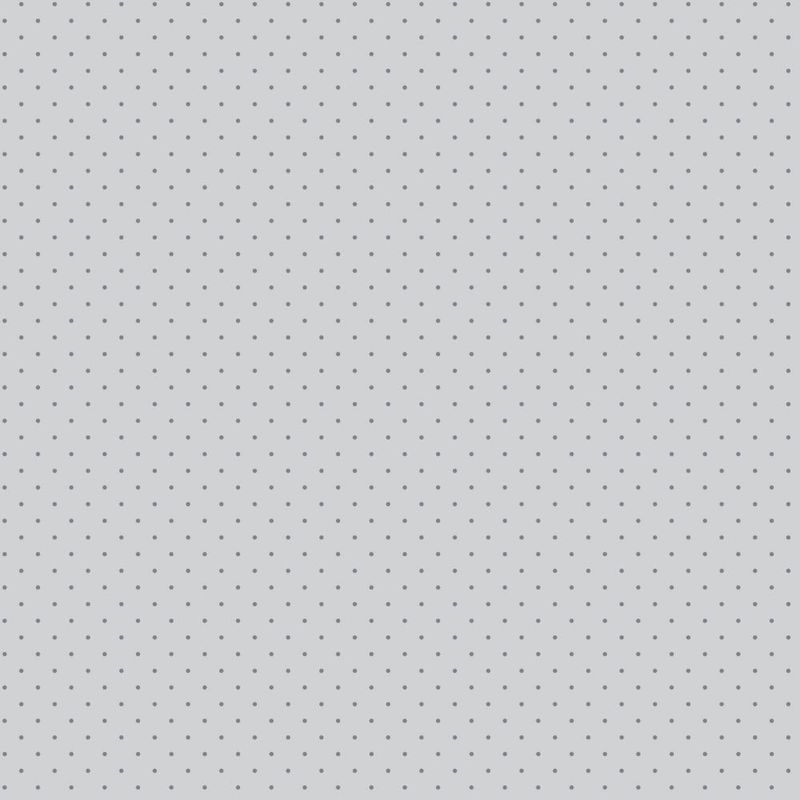 Tula Pink  Graywork | True Colors Tiny Dots | Fog