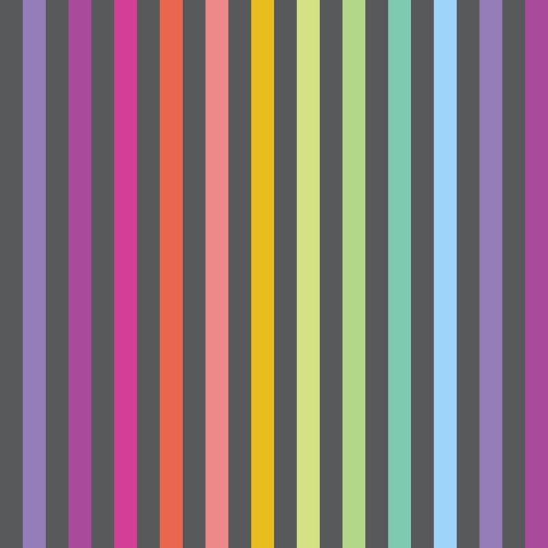 Tula Pink  Graywork | True Colors Disco Stripe | Carbon