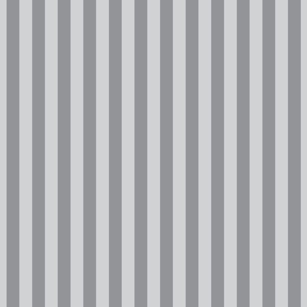 Tula Pink  Graywork | True Colors Tent Stripe | Fog