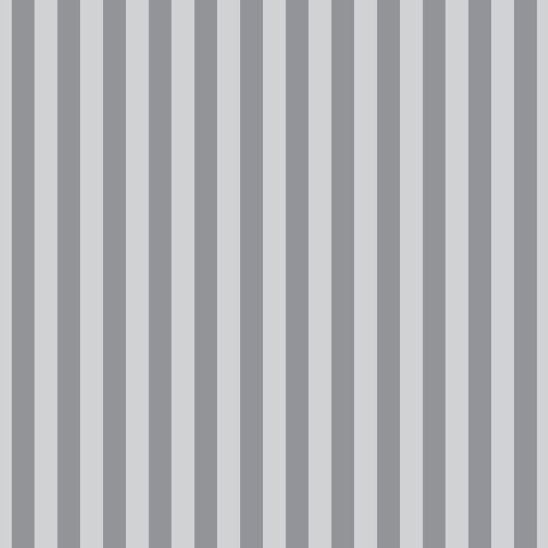 Tula Pink  Graywork | True Colors Tent Stripe | Fog
