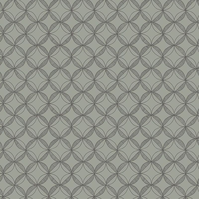 Clandestine - Graphite | Foundation 2 by Shayla Wolf