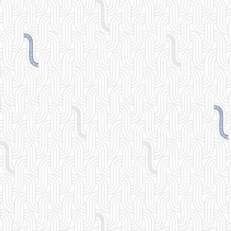 Serpentine - Paper | Foundation 2 by Shayla Wolf