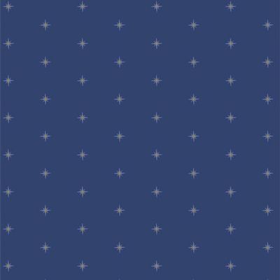 Shining Stardusk | Starling von Maureen Cracknell für Art Gallery Fabrics