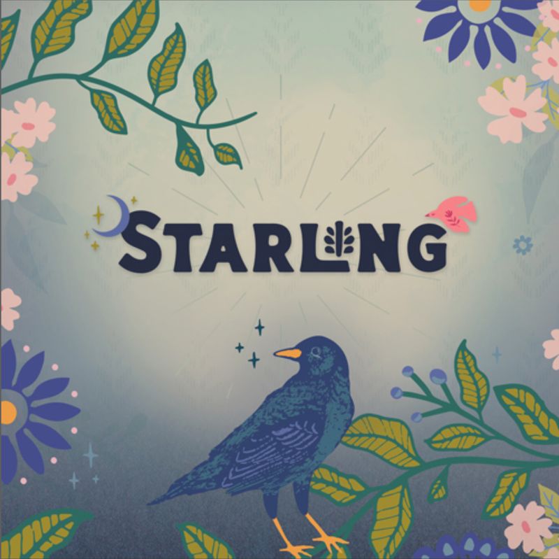 Starling | Fat Quarter & Halbmeter Bundle | AGF