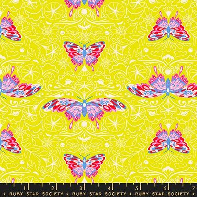 Glow Garden | Morning Moth - Citron | Ruby Star Society Glow Garden | Morning Moth - Citron | Ruby Star Society