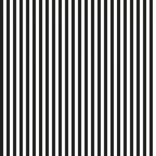 Stripe  - 1/4" | RBD Basics | Riley Blake Designs