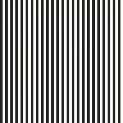 Stripe - 1/4 Stripe - 1/4" | RBD Basics | Riley Blake Designs