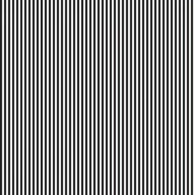 Stripe  - 1/8" | RBD Basics | Riley Blake Designs