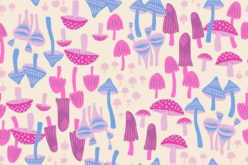 Hello Alice - Mushroom Land in Shell | Sarah Watts für Ruby Star Society Hello Alice - Mushroom Land in Shell | Sarah Watts für Ruby Star Society