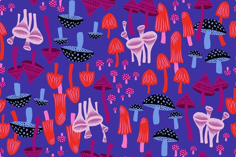 Hello Alice - Mushroom Land in Blacklight | Sarah Watts für Ruby Star Society Hello Alice - Mushroom Land in Blacklight | Sarah Watts für Ruby Star Society