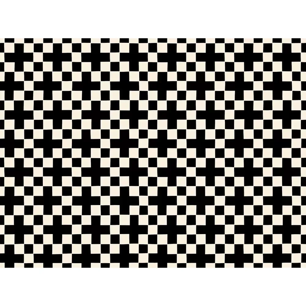 Reststück 145 cm – Achroma Checkerboard Black  | Ruby Star Society