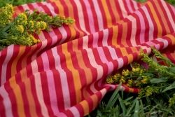 Stripe in Fruit Salad - Picnic Wovens von Art Gallery Fabrics, garngefärbt mit Streifen in Rot, Rosa, Pink, Orange und Gelb.