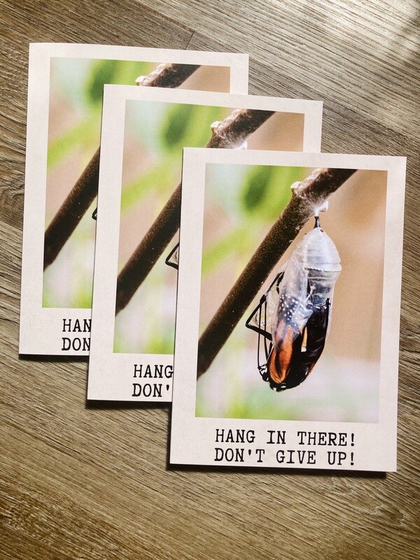 3 Pack Greeting Cards - Encouragement!