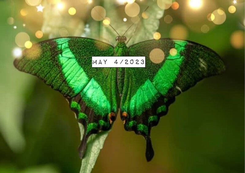 A DREAM WHERE AN ANGEL STOOD BEFORE ME DRESSED IN BRIGHT GREEN  By Catherine Plett
