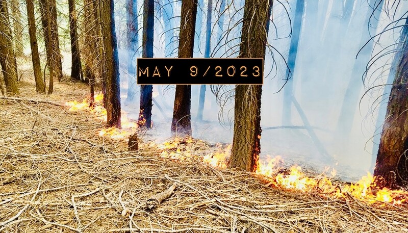 FRESH FIRE  By Holly Watson