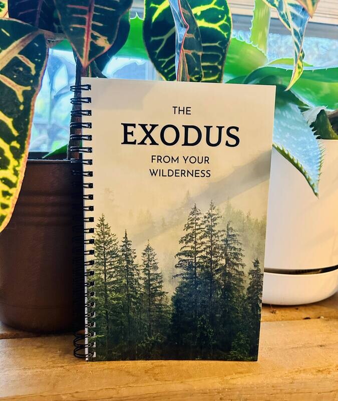 The EXODUS Journal!
