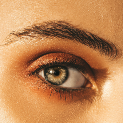 Contacts