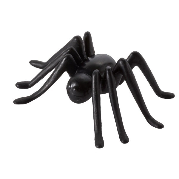 3D Spider/6