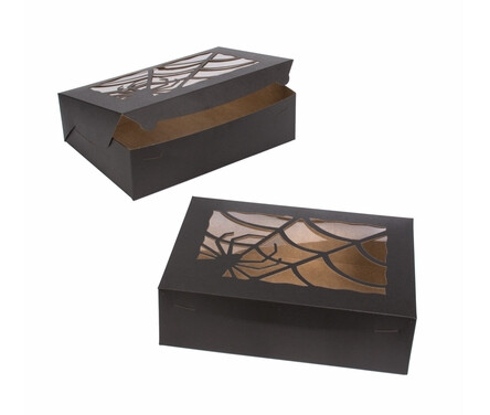 14x10x4 Spider Web Window Box